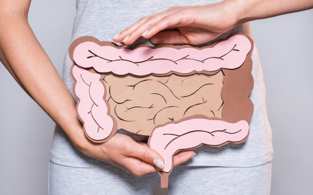Saúde intestinal da mulher e a dieta anti-inflamatória