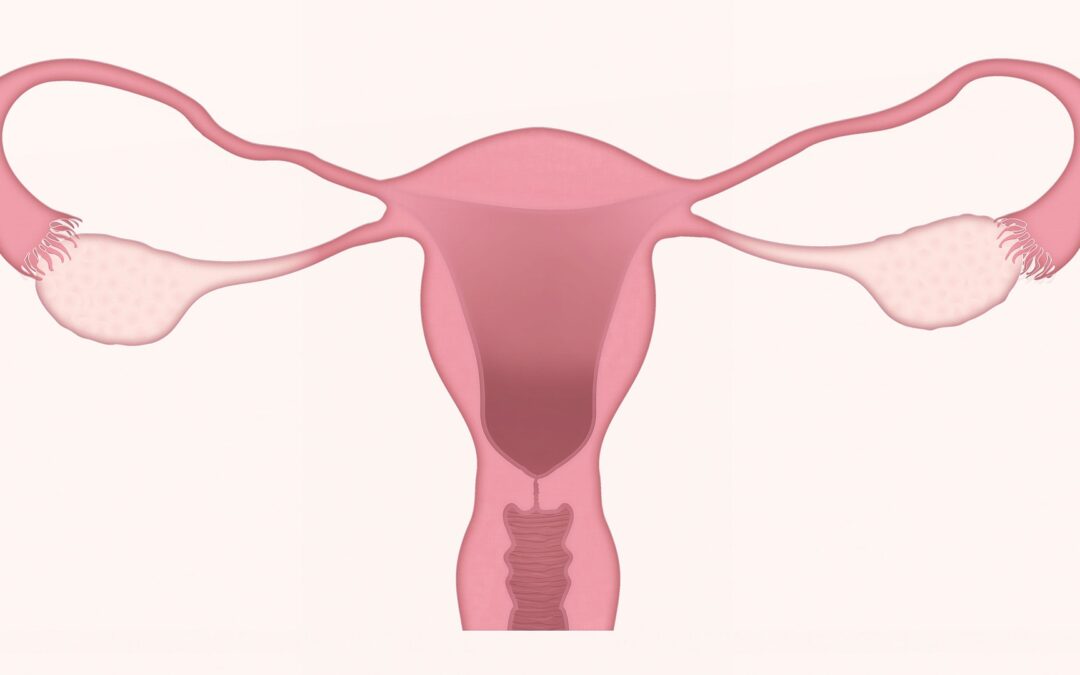 Copo menstrual rosa de silicone com rosa sobre fundo branco, conceito de  menstruação